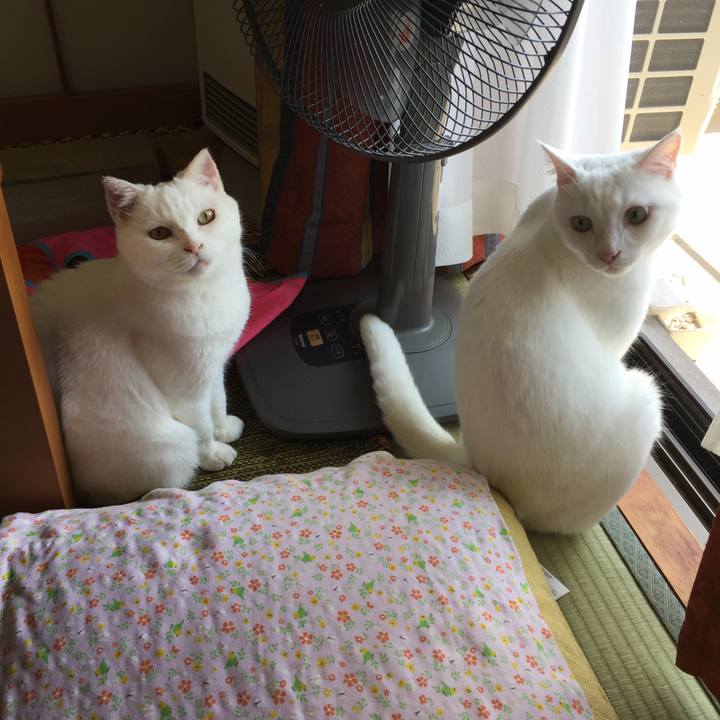 B9bae53f b288 405b 8caf a942435df825