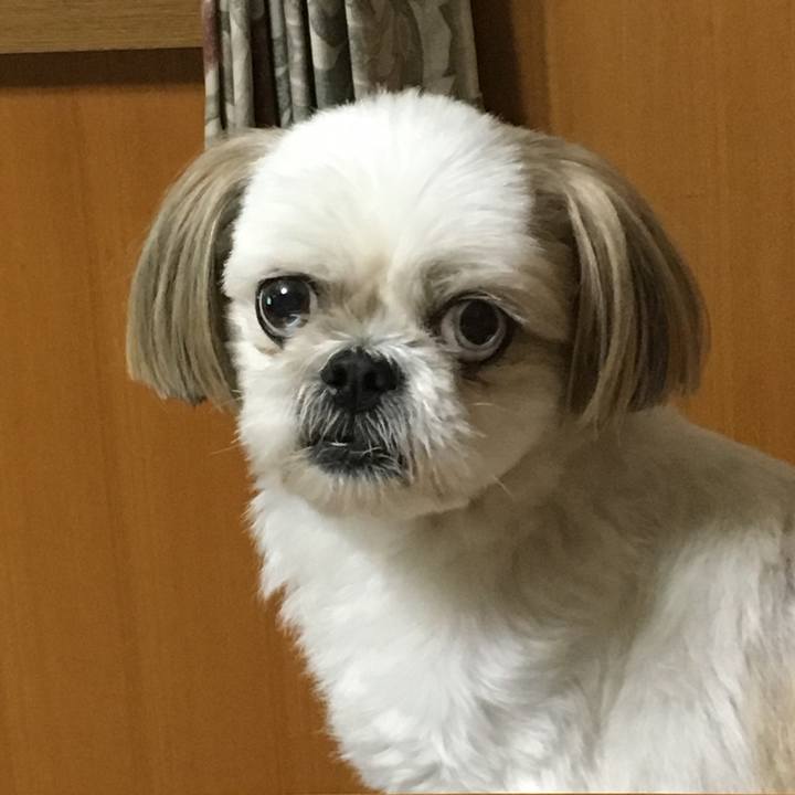 B9bb7a62 6d75 4985 870f 07949242afec