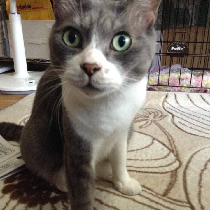 B9bc5588 a621 4386 b9cb f489f82f9e46