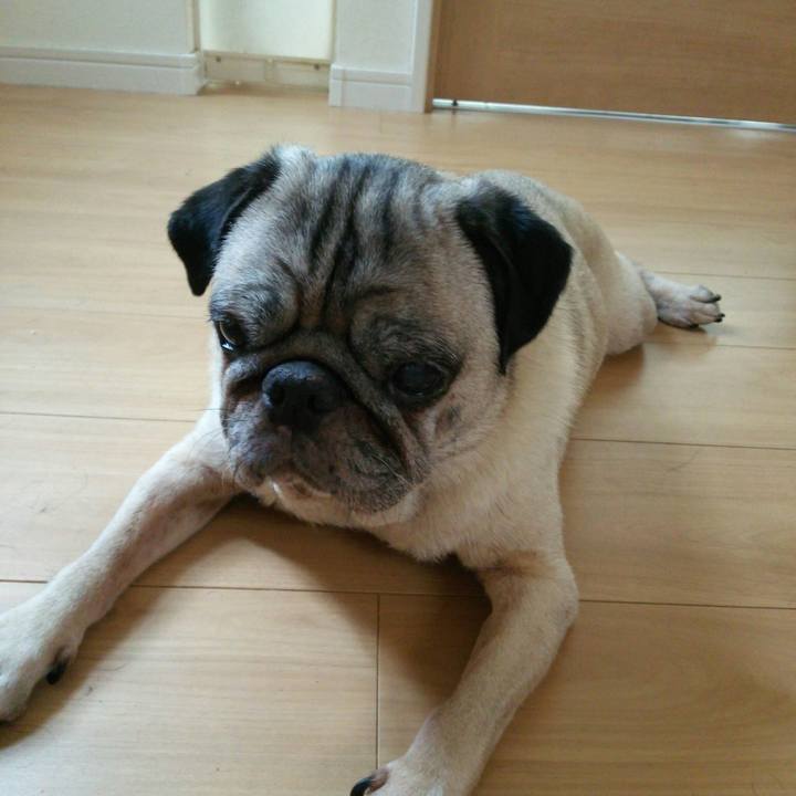 B9bcdadc ddea 4452 a77f 320c487e856d