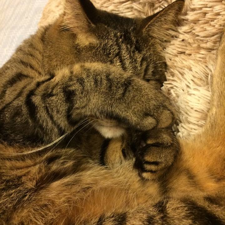 B9bd7df1 45db 4a73 baa4 9b699a7f2b3e