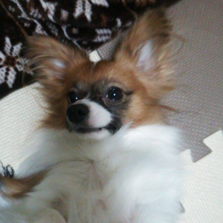 B9bdb7aa 0e30 4aa0 bea3 b26cae47b7a9