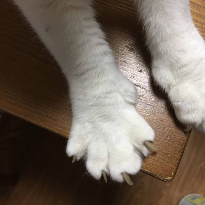 B9bdf520 dedf 4ddd bae4 f215de3e44ca