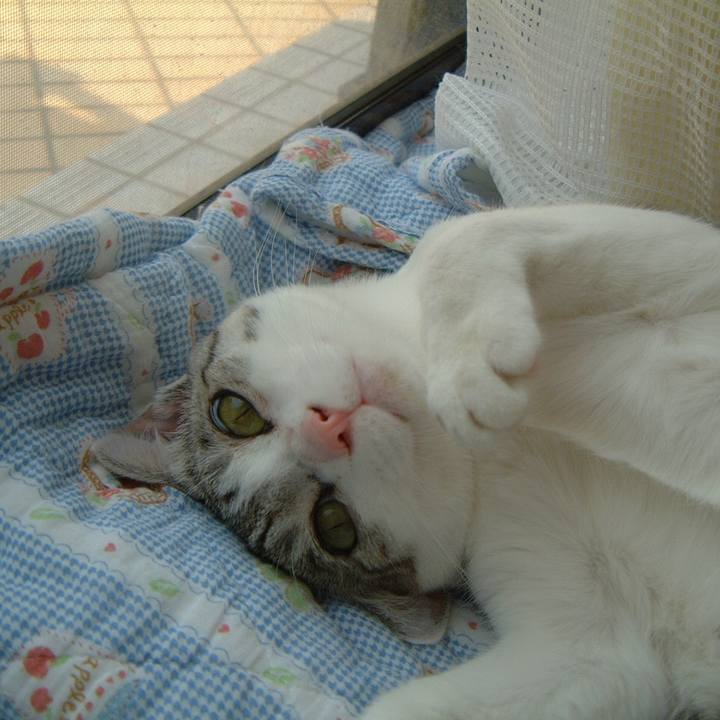 B9be63b5 74b8 40e7 b432 9dfda1777daa