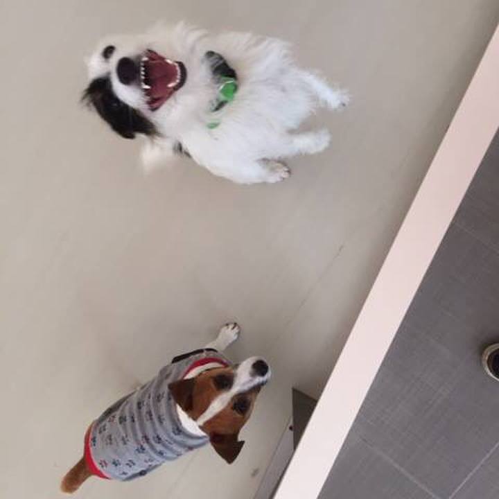 B9be65fa bf36 4908 9011 90c8c0685cc3