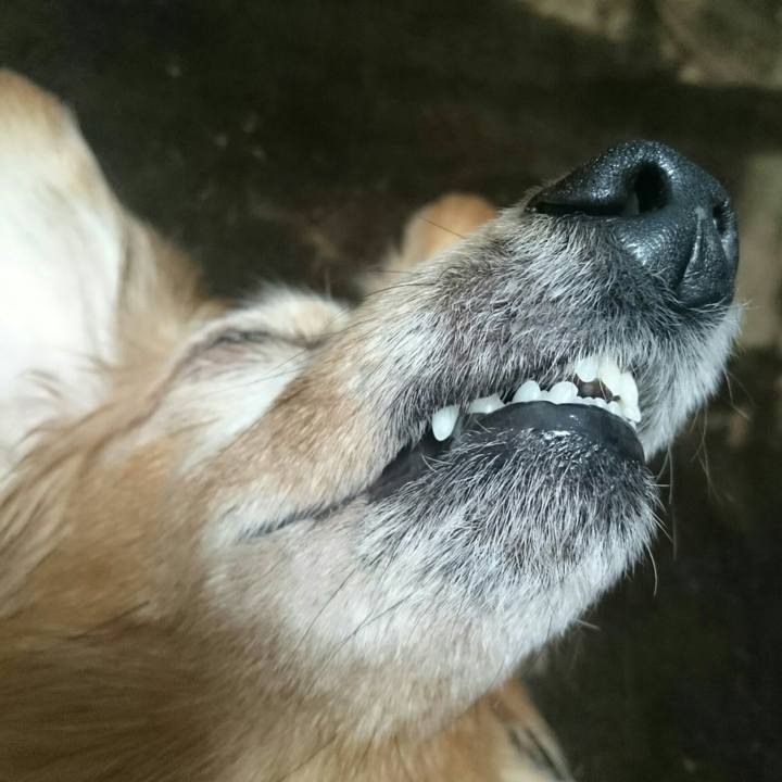 B9bf72a3 05d8 451b 8250 6bc48085fe02