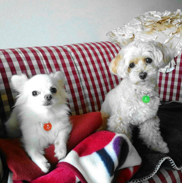 B9bfe8ea 0c7c 40b9 be5d 113397b5f28f