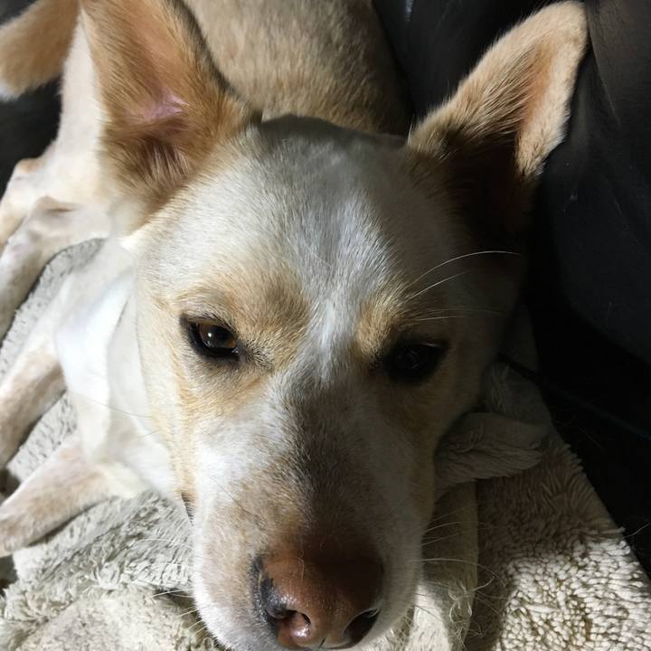 B9bffdc9 7921 4422 8acf ea777c6305eb