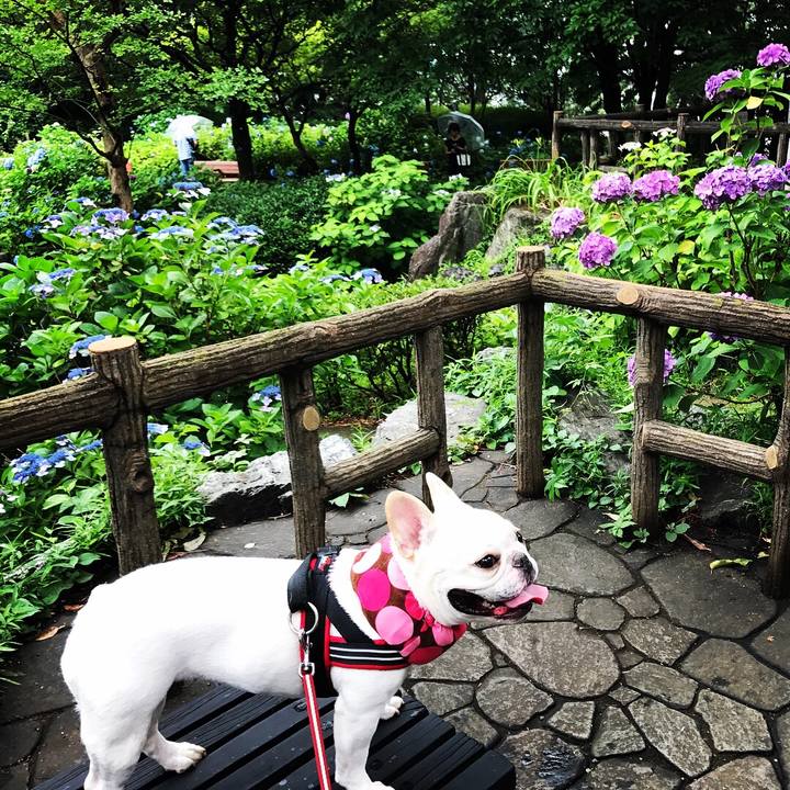 B9c008d3 b88e 4fd8 a661 6e27672e8114