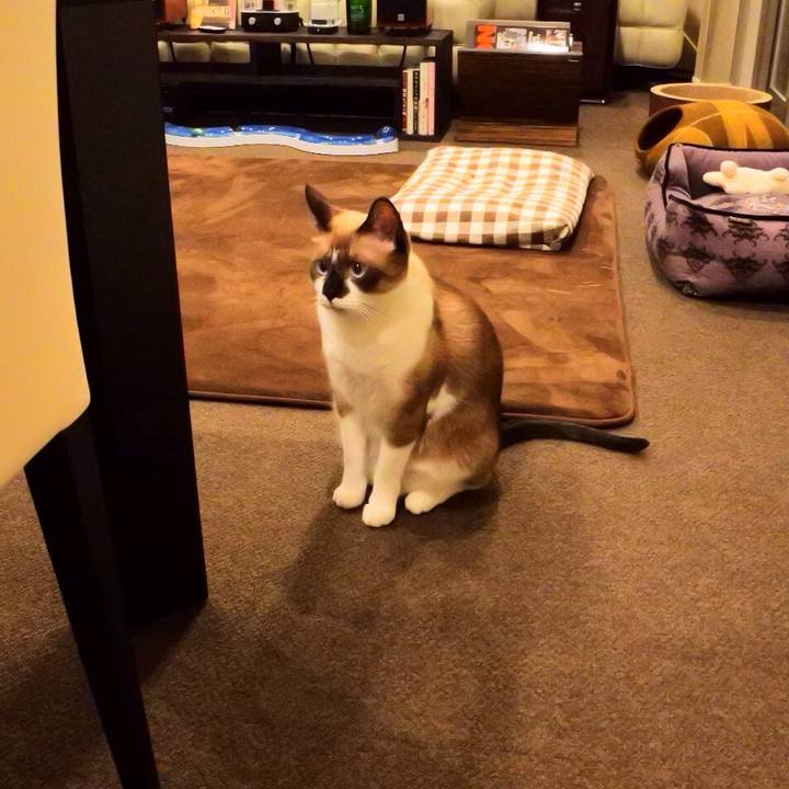 B9c077ec 284b 491a a44d ab3bb1d0c048