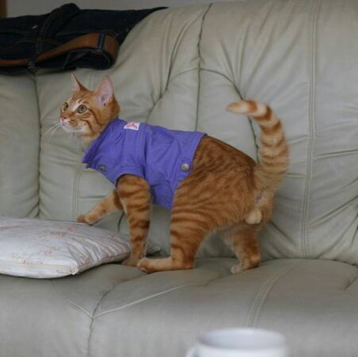 B9c0e395 5c6f 44ec 8bea 76389ea1122b