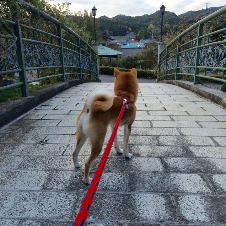 B9c11b5a 9ba4 400f afc2 9ad8950c35e2