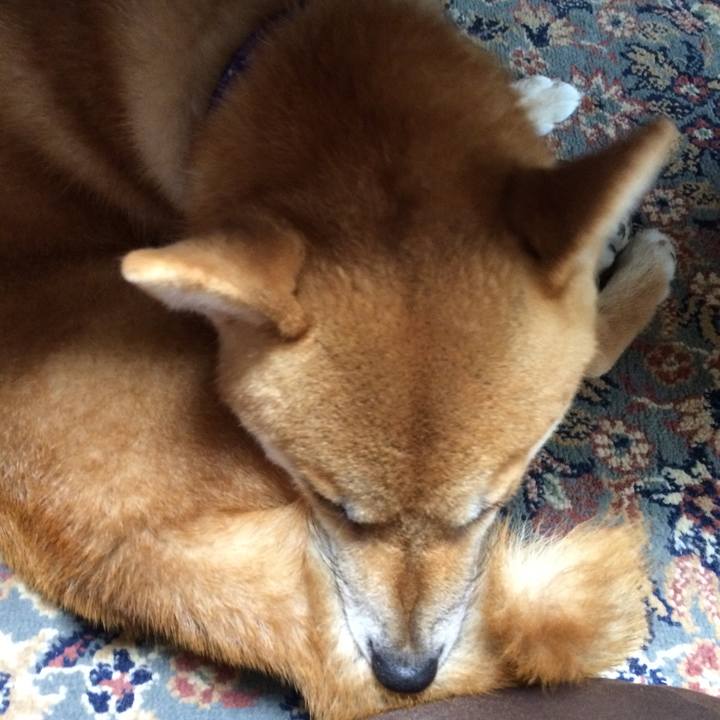 B9c1341b 4740 4852 afcc 5f489f5b8f85