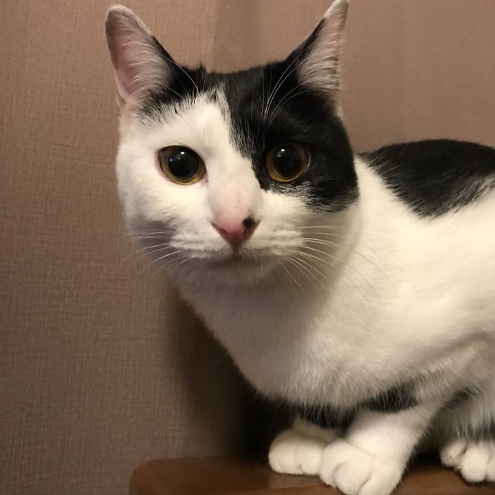 B9c21b83 aaf3 494c bb38 a292ce3fcf48