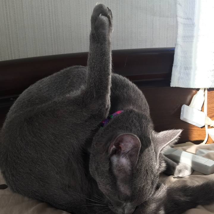 B9c26317 0b17 41e0 ba40 064a7f4f7f58