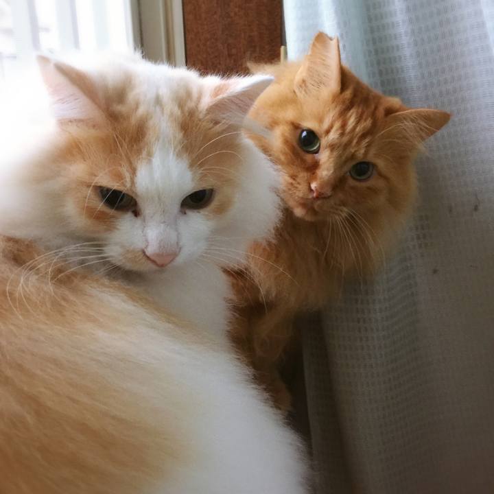 B9c32a0a 1c4a 4b43 9af0 6bcc2d03bd62