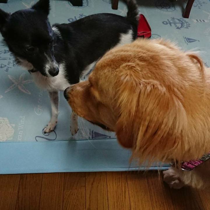 B9c38141 56eb 4168 9253 b9f616e2fb27