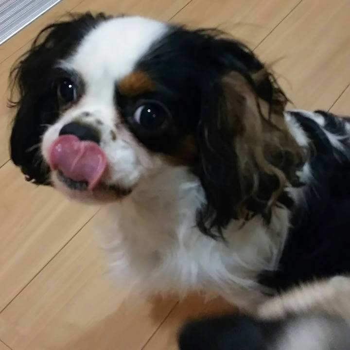 B9c47ed5 c442 46e4 ba54 4b50c3b8fd16