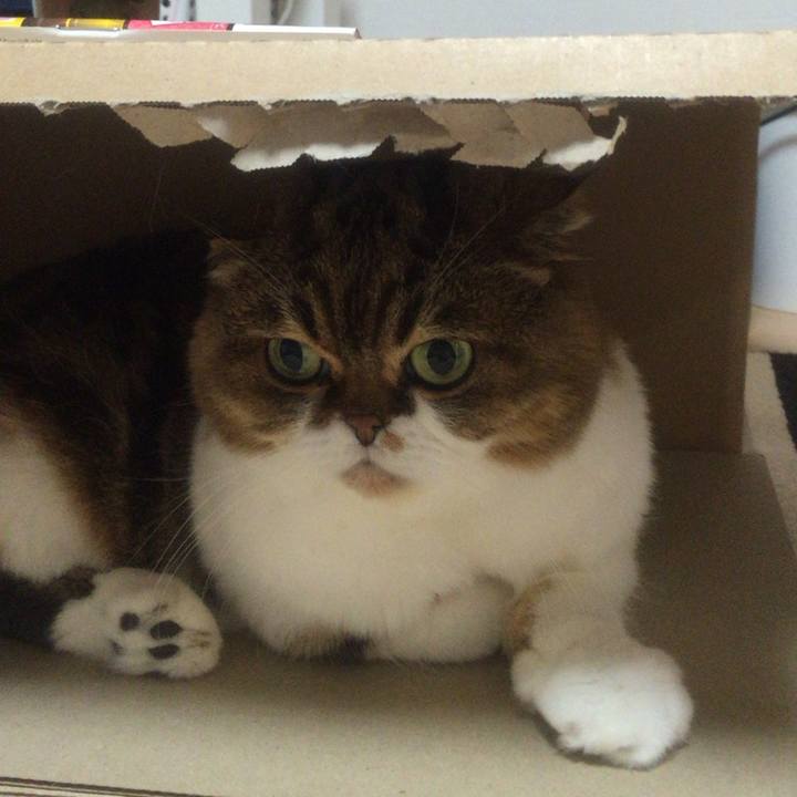 B9c4a388 0d91 403a b718 f65d3956c5c3