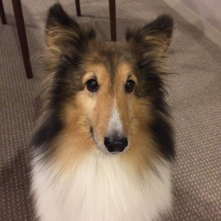 B9c66c2d 3941 4ee3 9a00 fcdc04e58478