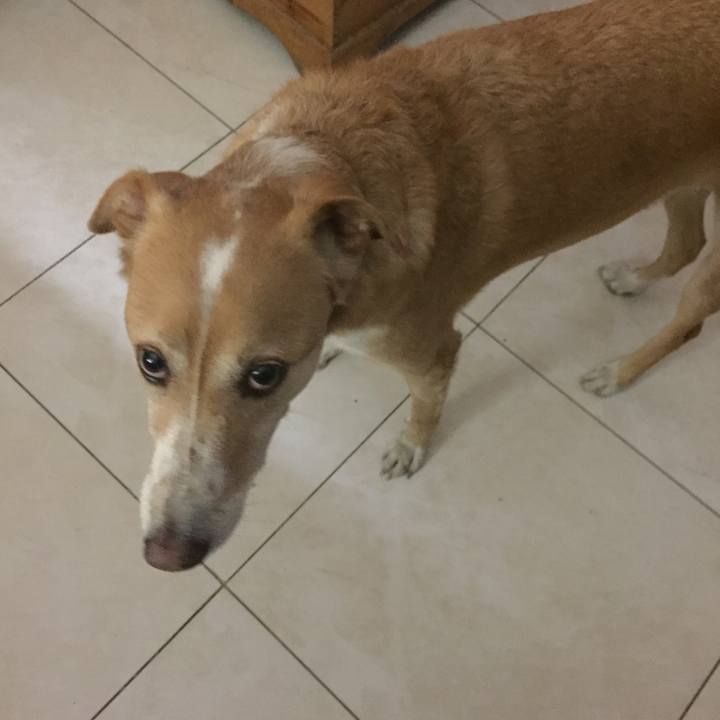 B9c680a6 b61a 4a80 bd9e 077c500fc23b