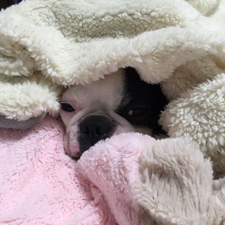 B9c7d910 2c7a 4f19 bfd9 0ee2c3a690d7