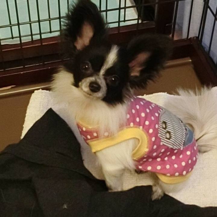 B9c824ce 4dd7 434a a6d6 46361460bf37