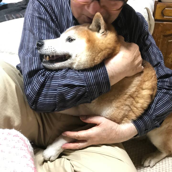 B9c861a1 b1e6 4ab3 9771 b0cb7c811f4a