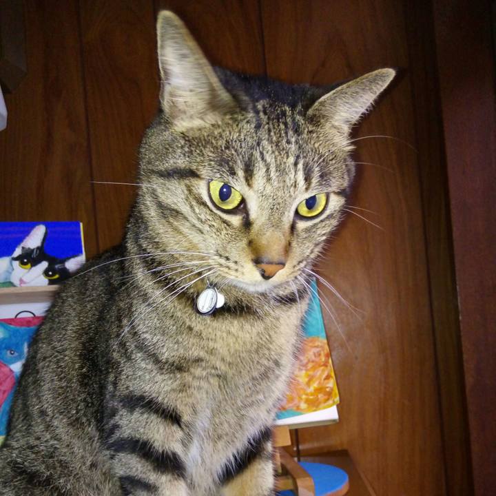 B9c9f651 d6db 46e5 9d2c ef76b31b7783