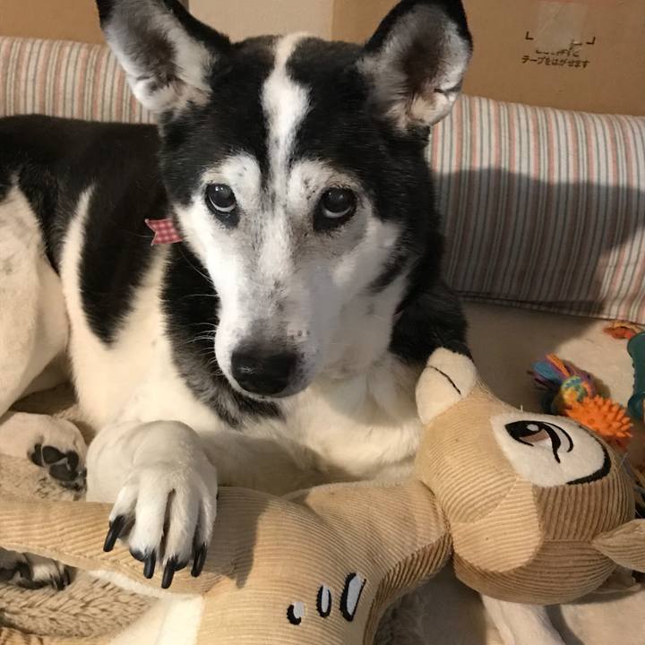 B9ca66c7 1cd6 45e7 8b03 cf714727dd38