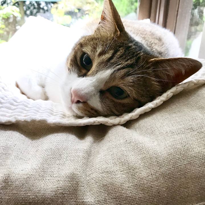 B9ca6d3f 2bd2 4ac5 8627 3067e85c003c