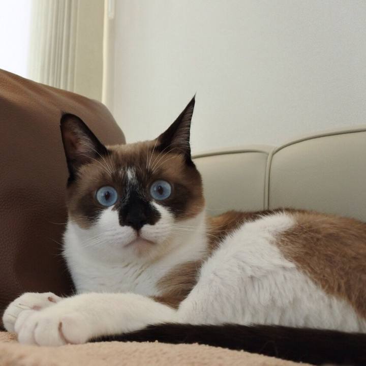 B9cb84e9 8dbf 492a 893e bd00c5d40070