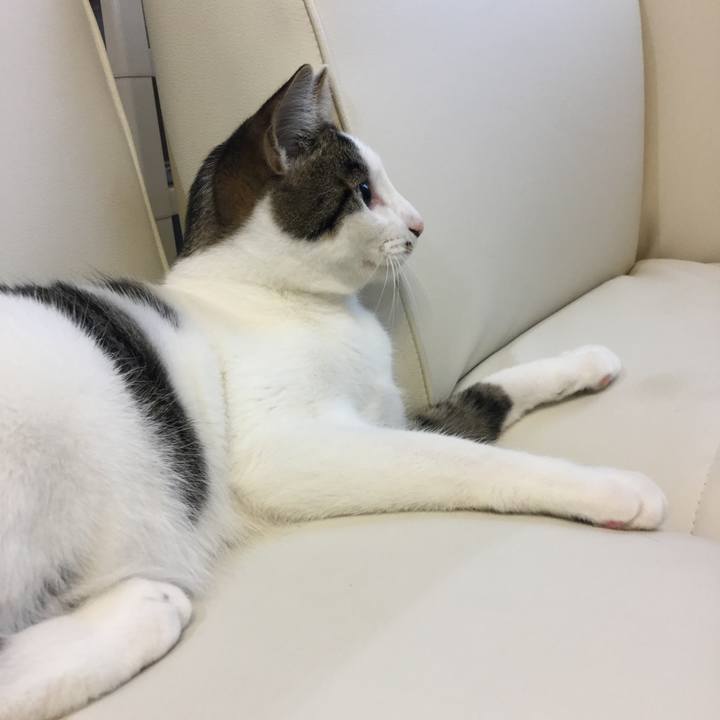 B9cb88f1 eaed 4aa4 a567 4abda1b8ba85