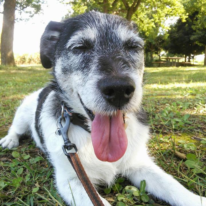 B9cc1c5a 3851 4328 a401 999b8addc20f