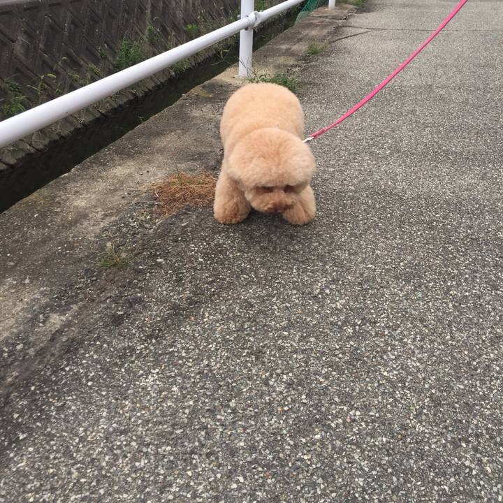 B9cc41aa c2af 4cc3 82e9 800f2d5dae4b