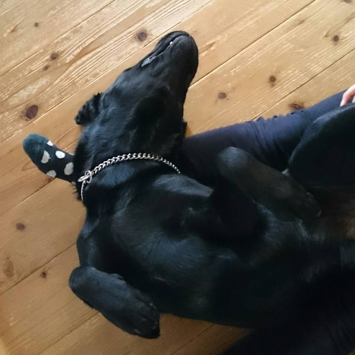 B9cc4e1c c8d3 4a7a a313 dd4abe513848