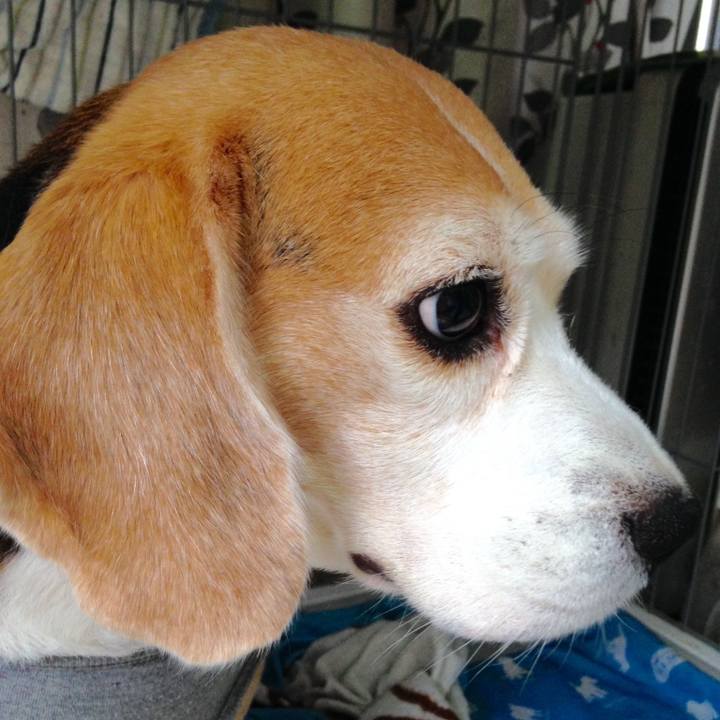 B9ccb4d2 7961 4a5e b2d5 4caaff68eabd