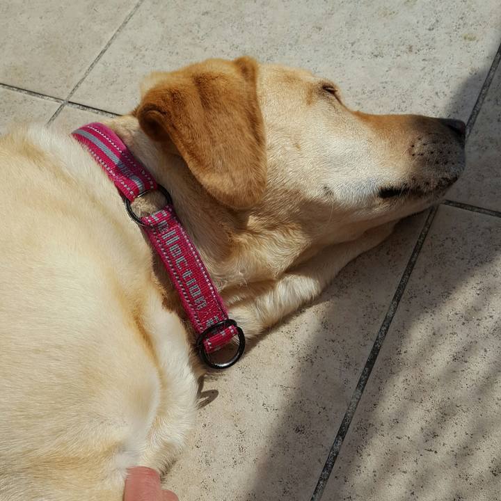 B9cceb61 fa74 45d2 9c94 67e99be13deb