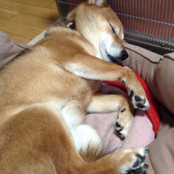 B9cd60e9 0f33 476c 9637 03fbac35a6ab