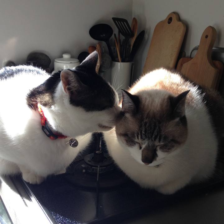 B9cd815a 96a0 4ba7 b753 63764d177561