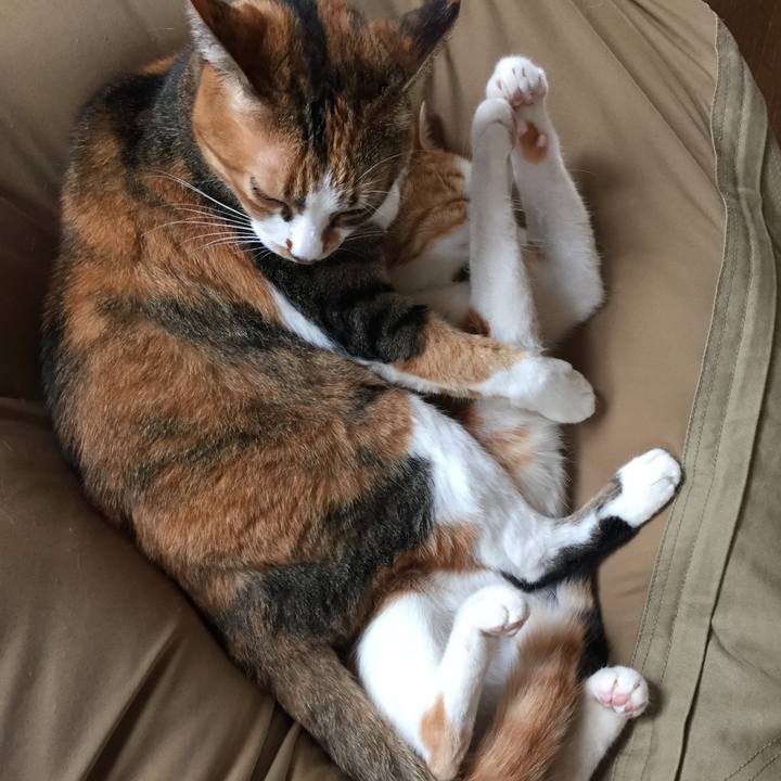 B9cdabb9 6fb6 4198 ba09 fa96e62d06d6