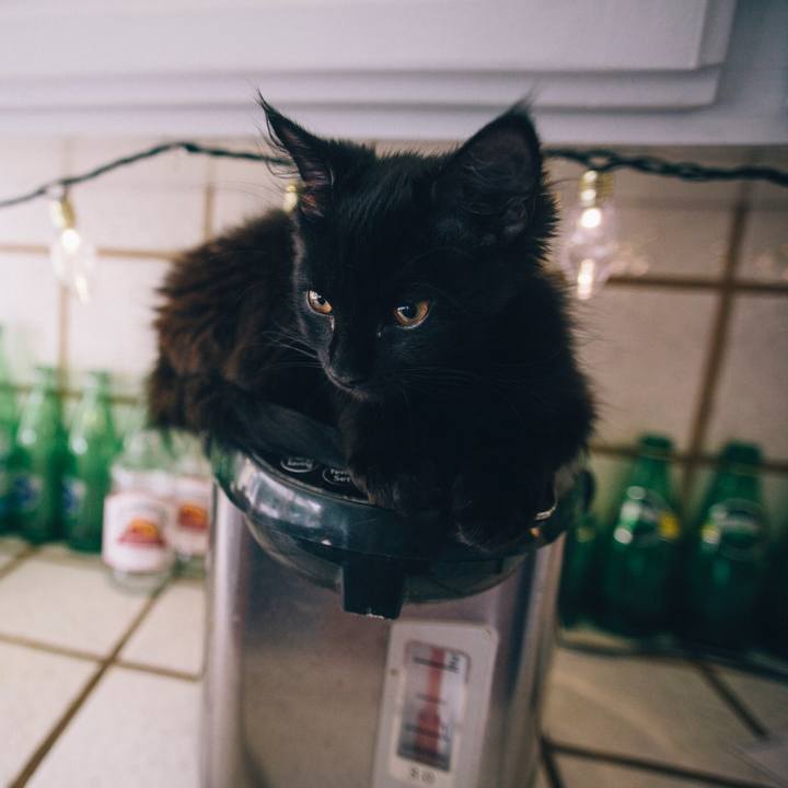 B9ce846a 1d47 4bac b118 594c86135344