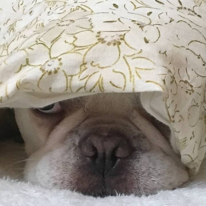 B9cea5cd 2ec2 48fc a48b e957ce074fda