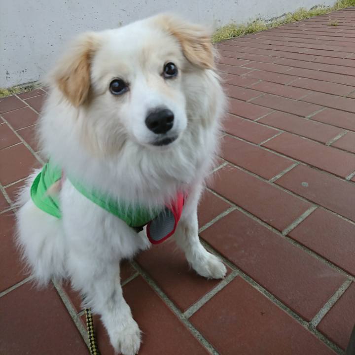 B9cf3ca6 06ef 4d64 9f5b df9060868821