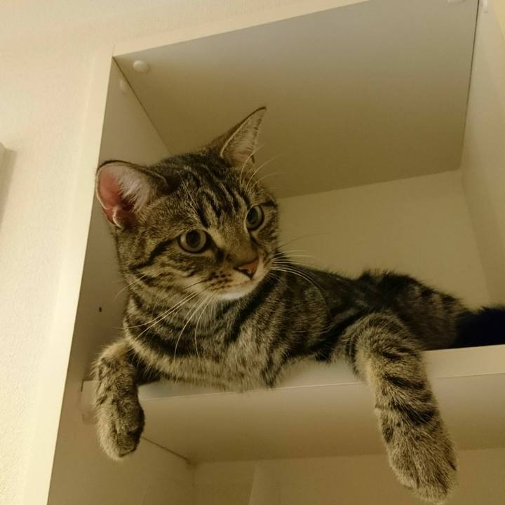 B9cf5fb6 3385 4226 91bd 1100ec8774dd