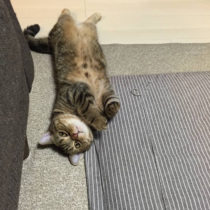 B9cfd239 b0a9 47a0 a005 9444e965c9d5