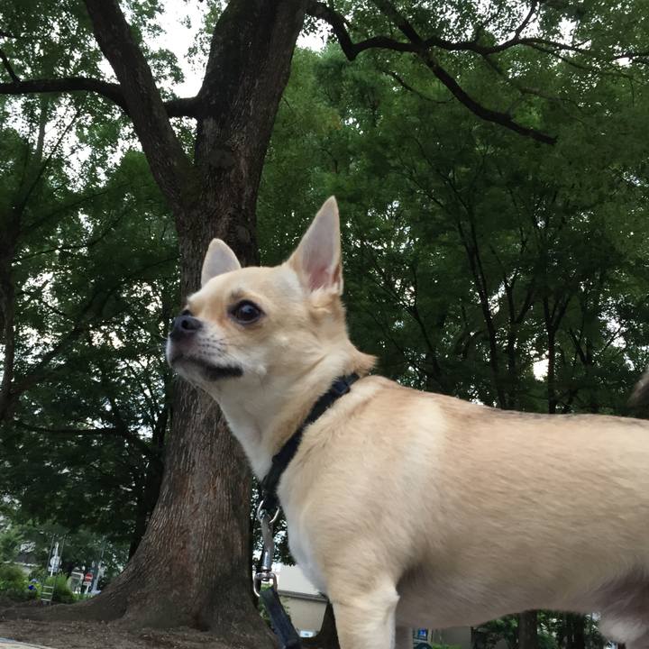 B9d02ddd 5541 4a1b 8978 1544e72ef241