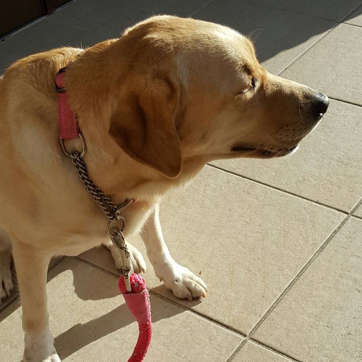 B9d0afcd aae4 4adc a3b9 8e96e3cae372