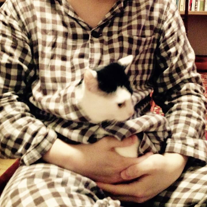 B9d0ea3c e215 4dd9 af9a 7ca9758b6ae4