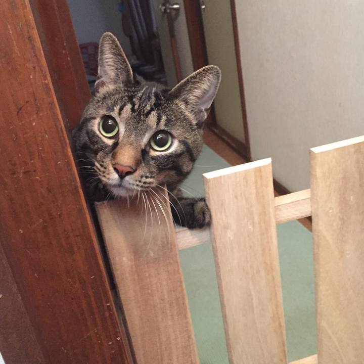 B9d12e1a 5081 4262 ae65 814f5e6b8413